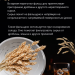 Фальшдно для куба 50 литров, 397 мм