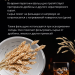 Фальшдно для куба 20 литров